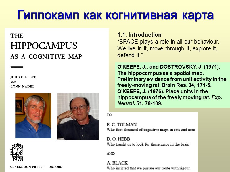 Гиппокамп как когнитивная карта  1.1. Introduction  “SPACE plays a role in all